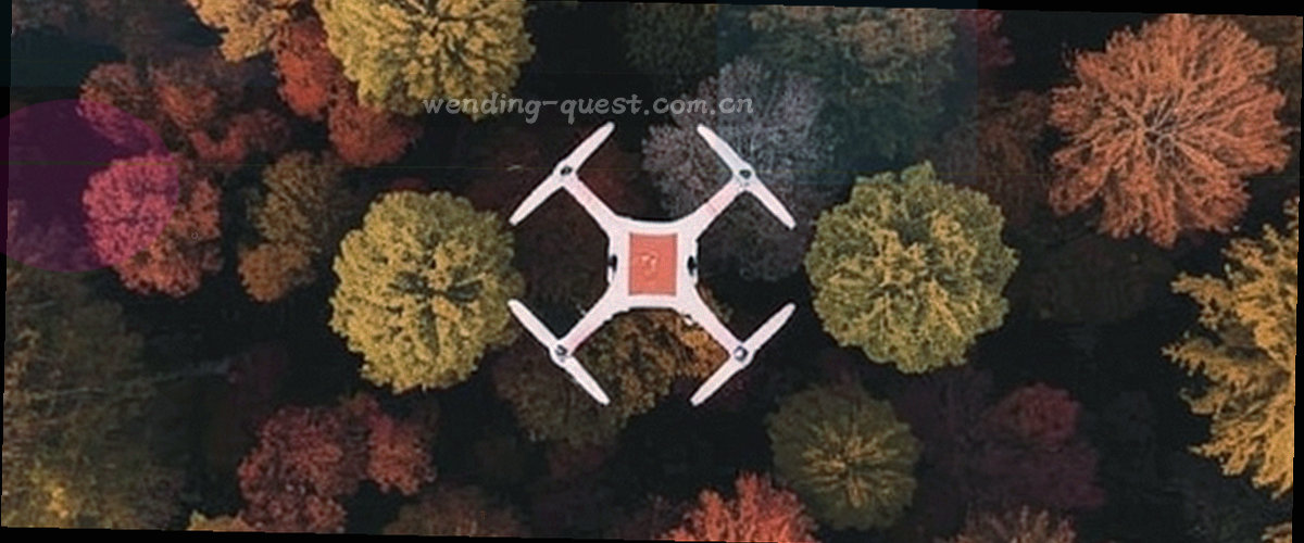 抽象线条连接三个节点的信息流向示意图，冷蓝底色配鎏金连线，无文字与人物